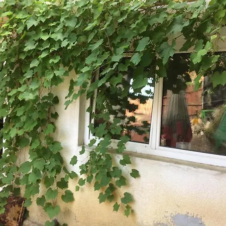 Casa Adrian Centru Vechi