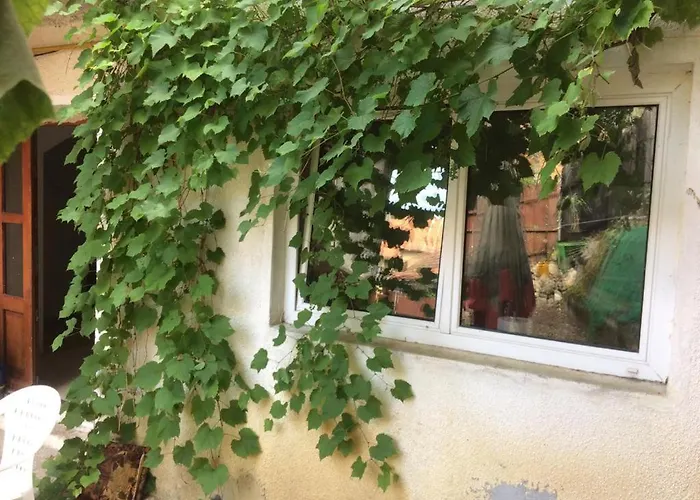 Casa Adrian Centru Vechi