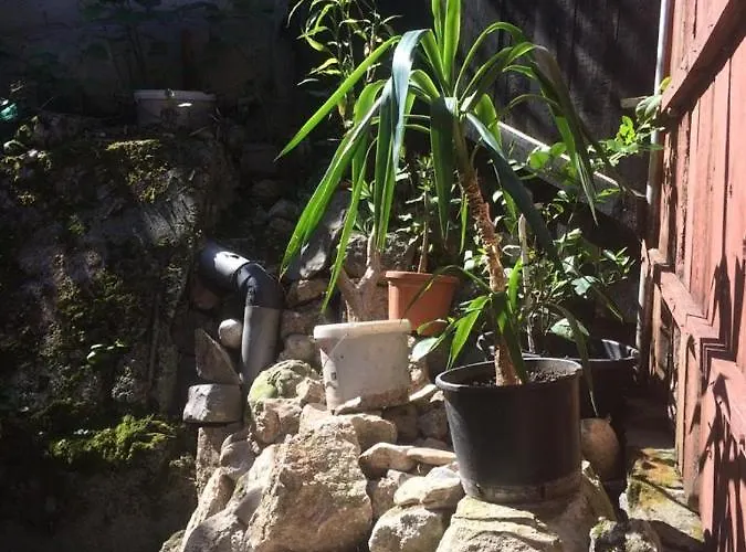 Casa Adrian Centru Vechi * Brassó